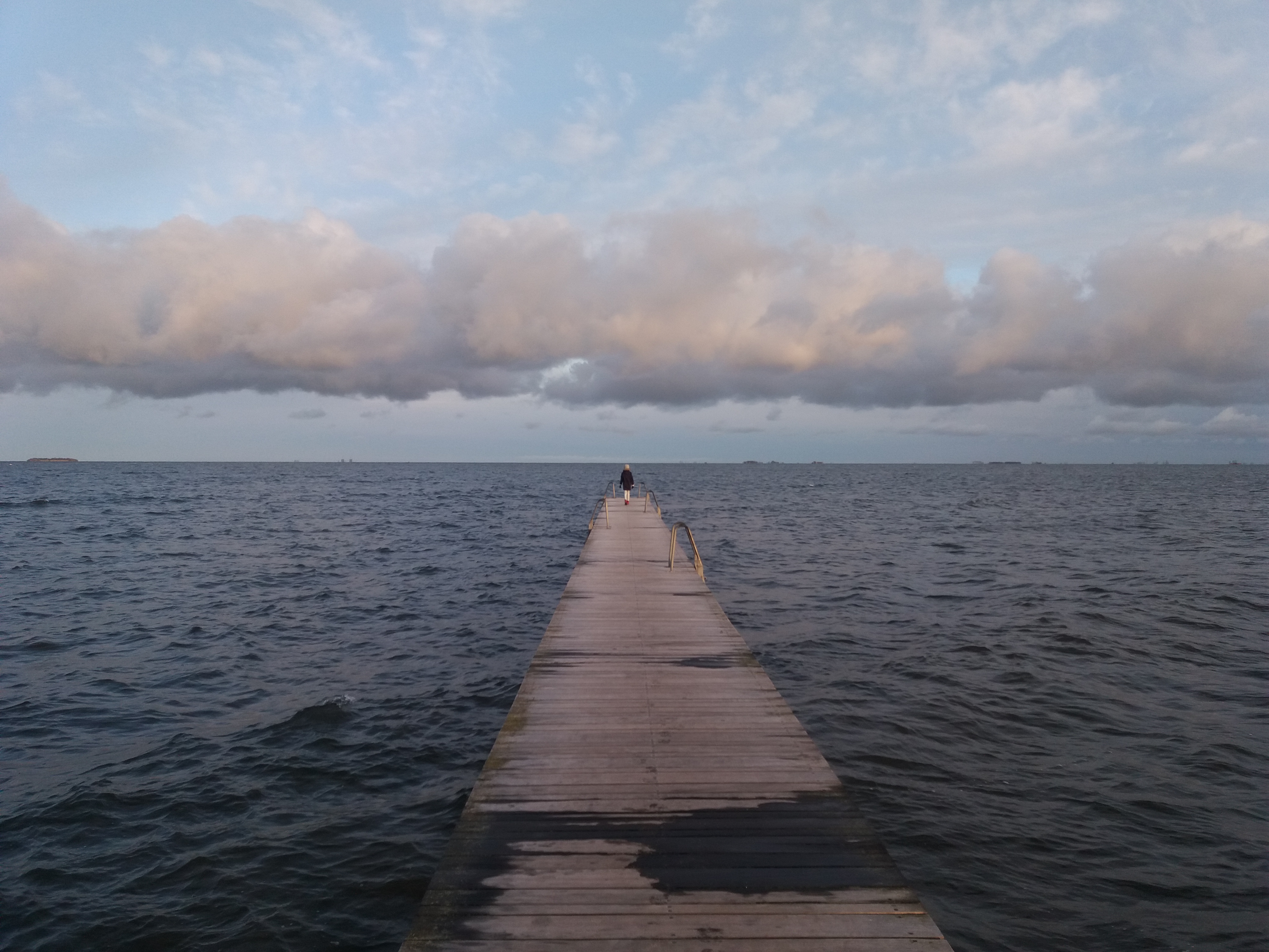 Sti mod lyset i skoven